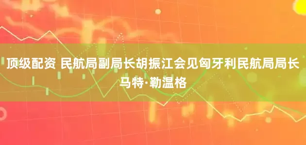 顶级配资 民航局副局长胡振江会见匈牙利民航局局长马特·勒温格