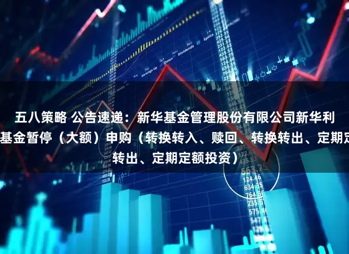五八策略 公告速递：新华基金管理股份有限公司新华利率债基金基金暂停（大额）申购（转换转入、赎回、转换转出、定期定额投资）