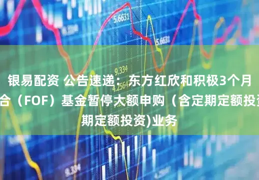 银易配资 公告速递：东方红欣和积极3个月持有混合（FOF）基金暂停大额申购（含定期定额投资)业务