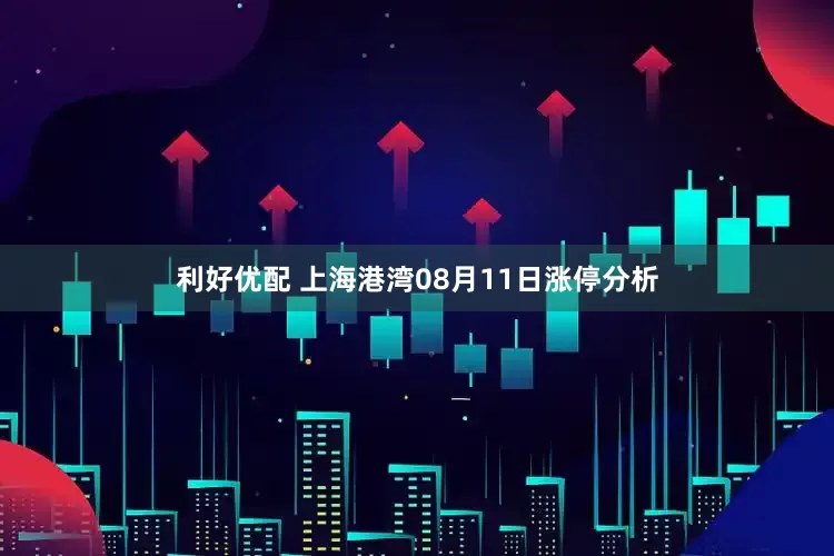 利好优配 上海港湾08月11日涨停分析
