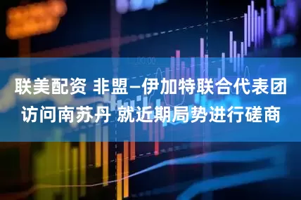 联美配资 非盟—伊加特联合代表团访问南苏丹 就近期局势进行磋商